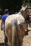 1208TEV_033