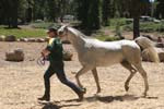 1208TEV_041