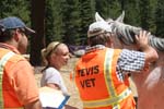 1208TEV_042