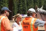 1208TEV_043