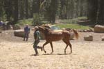 1208TEV_047