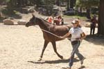 1208TEV_053