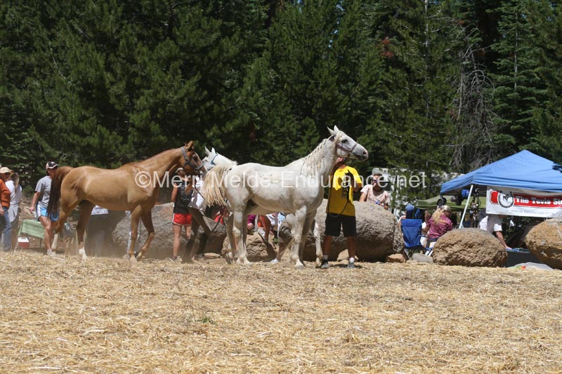 1208TEV_089