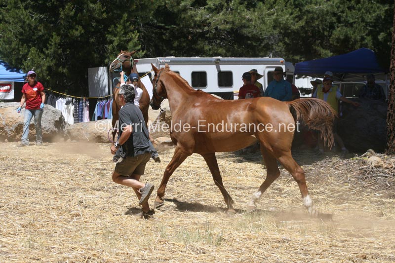 1208TEV_097