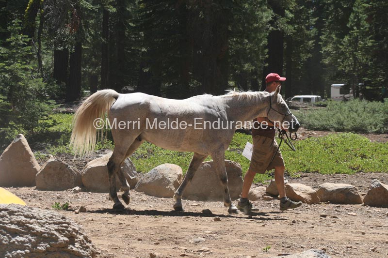 1208TEV_116