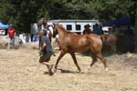1208TEV_097