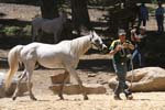 1208TEV_126