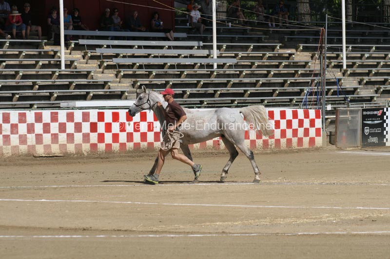 1208TEV_349
