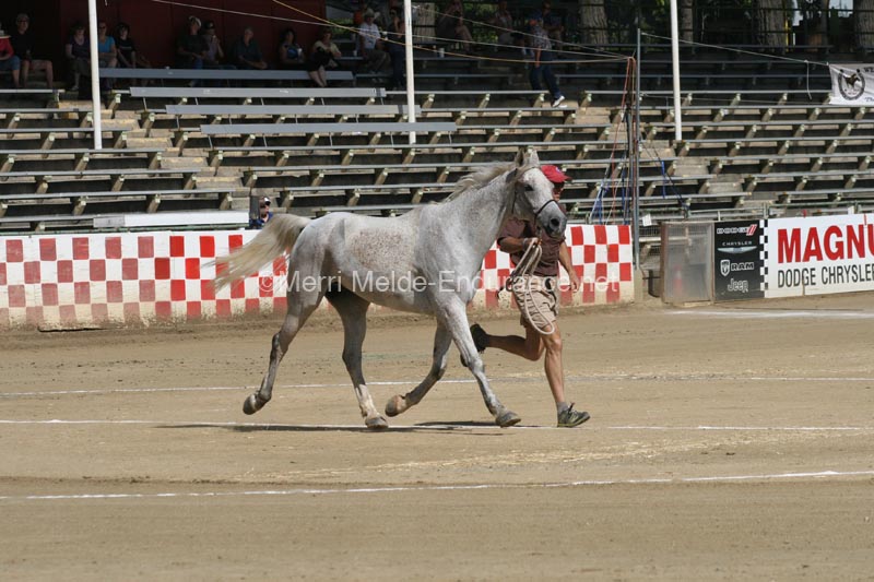 1208TEV_353