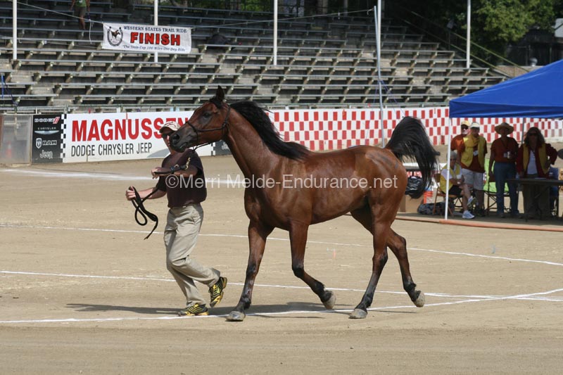 1208TEV_365