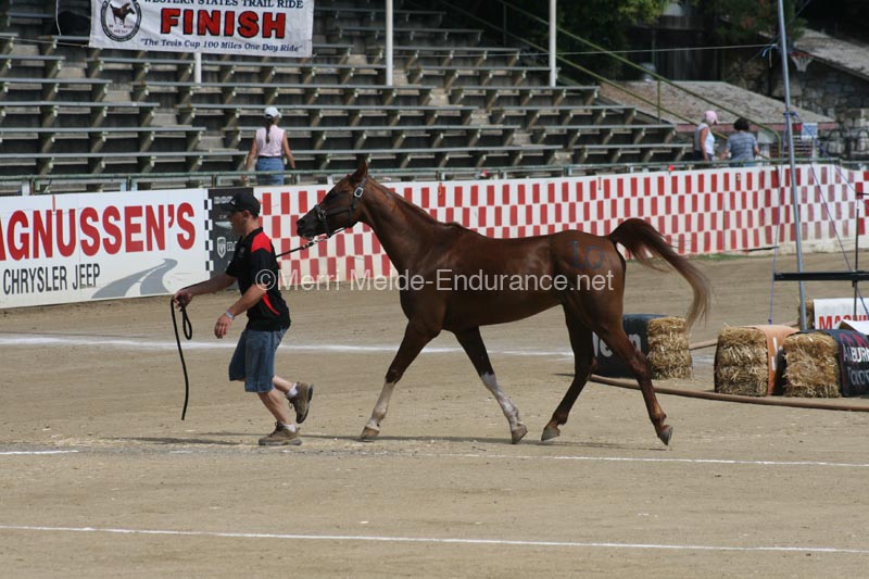 1208TEV_406