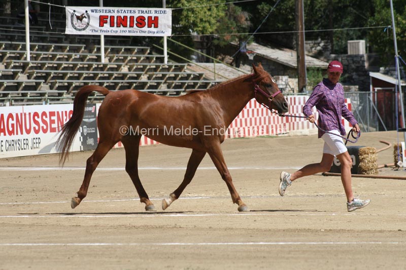 1208TEV_417