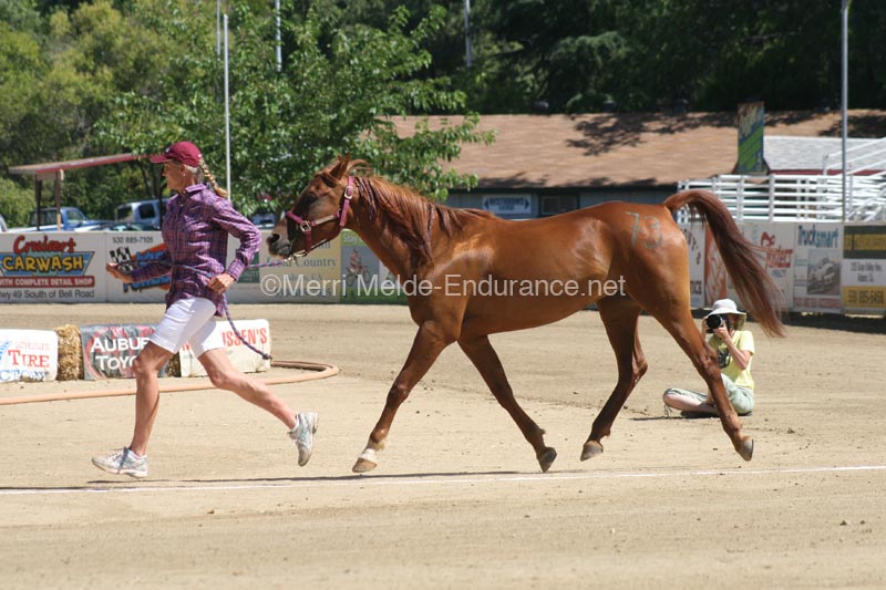 1208TEV_418