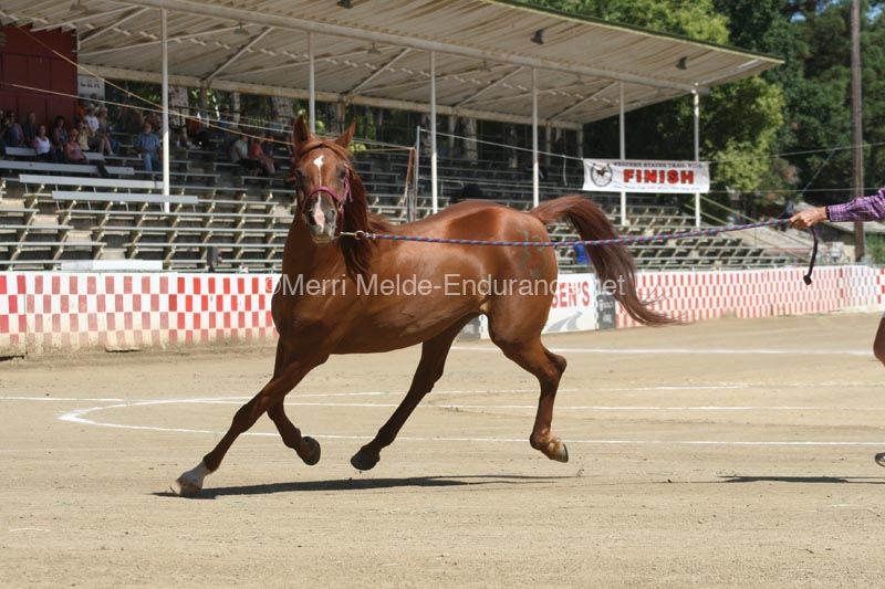 1208TEV_421