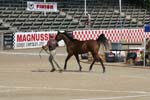 1208TEV_363