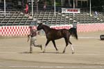 1208TEV_374