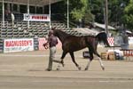 1208TEV_377