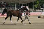 1208TEV_378