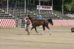 1208TEV_379