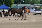 1208TEV_382