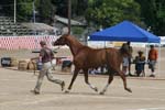 1208TEV_393