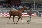 1208TEV_396