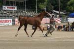 1208TEV_397