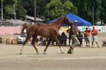 1208TEV_398