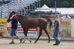 1208TEV_402