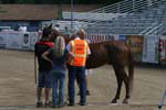 1208TEV_403