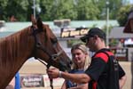 1208TEV_409