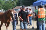 1208TEV_411