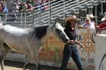 1208TEV_413