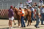 1208TEV_414