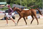1208TEV_416