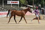 1208TEV_417