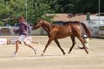 1208TEV_418
