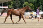 1208TEV_419