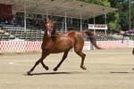 1208TEV_421