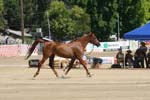 1208TEV_422