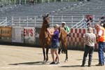 1208TEV_429