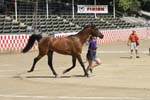 1208TEV_431