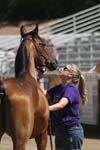 1208TEV_432