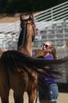 1208TEV_433