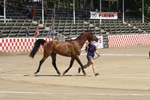 1208TEV_435