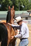 1208TEV_436