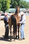 1208TEV_437