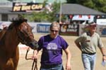 1208TEV_439