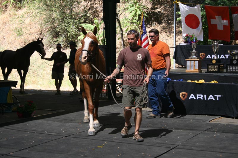 1208TEV_476