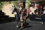 1208TEV_485